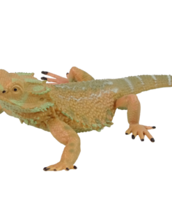 Barzdotosios agamės kolekcinė figūrėlė – „Animals of the World“ serija