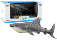 Didelis bangininio ryklio kolekcinis modelis – „World The Sea“ serija