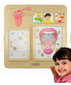 Masterkidz edukacinė lentelė „Skonio pojūtis“ su veiklomis ir rūšiavimo užduotimis