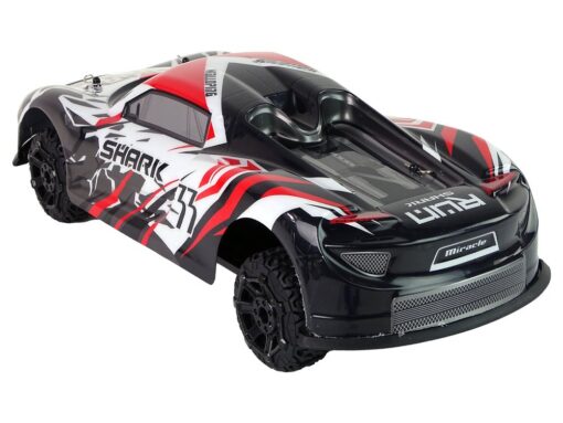 Sportinis R/C automobilis 1:8 – pilkas–baltas