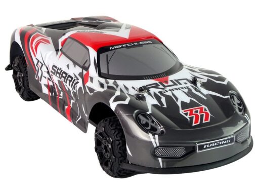 Sportinis R/C automobilis 1:8 – pilkas–baltas