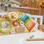 TOOKY TOY medinis daugiafunkcis muzikinis centras