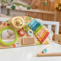 TOOKY TOY medinis daugiafunkcis muzikinis centras