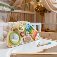 TOOKY TOY medinis daugiafunkcis muzikinis centras