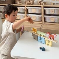 Tooky Toy mediniai gyvūnėlių kaladėliai – loginio mąstymo ir motorikos žaidimas