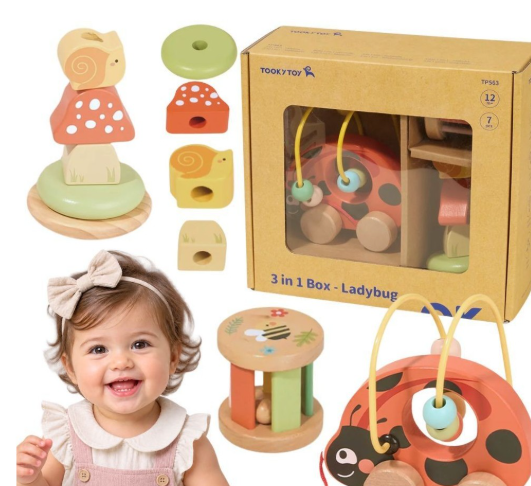 Tooky Toy medinis edukacinis rinkinys „Boružėlė 3‑in‑1“ Tooky Toy medinis edukacinis rinkinys „Boružėlė 3‑in‑1“