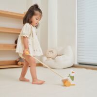 VIGA PolarB medinė stumdomoji žąsis