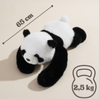 5 kg